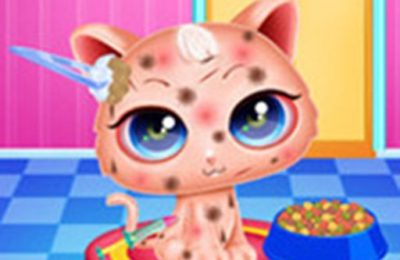 Cute Kitty Care – Pet Makeover