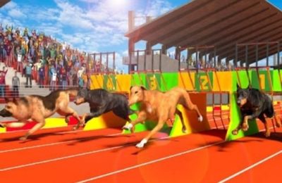 Dog Run 3D