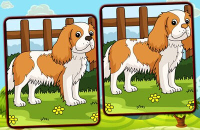 Dogs Spot The Differences