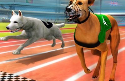 Dogs3D Races