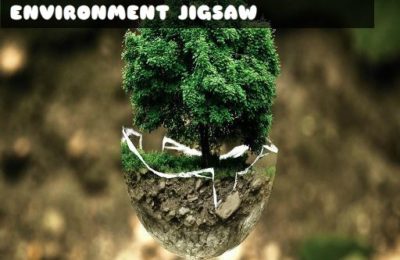 Environment Jigsaw