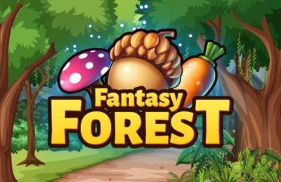 Fantasy Forest Puzzle