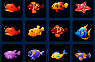 Fish Cards Match