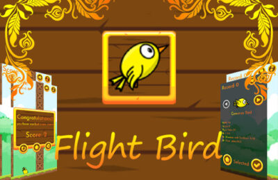 FlightBird