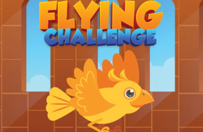 Flying Challenge