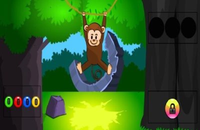 Funny Monkey Forest Escape