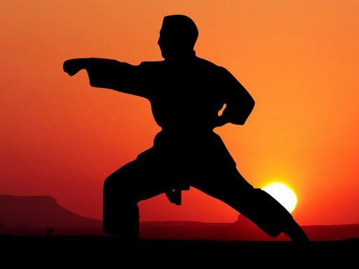 Karate Sunset Warriors