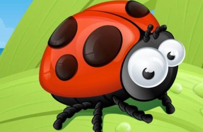 Ladybug Slide