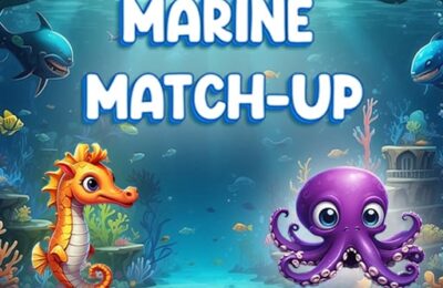 Marine Match Up