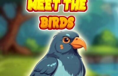 Meet The Birds