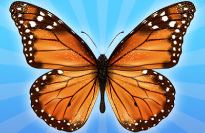 MergeButerfly: 2048!