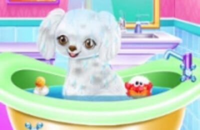 My New Poodle Friend – Pet Care Game