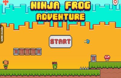 Ninja Frog Adventure