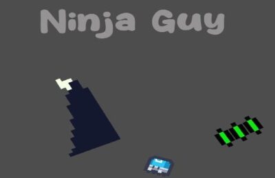 Ninja Guy