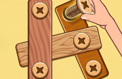 Nut Bolt Puzzle Game