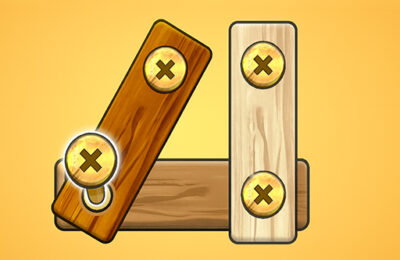 Nut Bolt Screw Puzzle Game