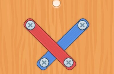 Nuts Bolts Screw Puzzle