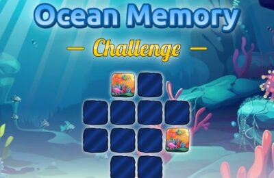 Ocean Memory Challenge