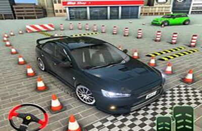 Parking Expert: Driving Exam