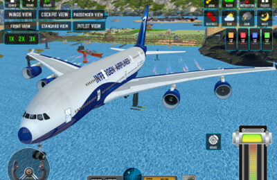 Passenger Airplane: Flight 3D