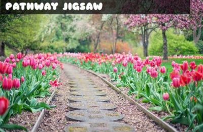 Pathway Jigsaw