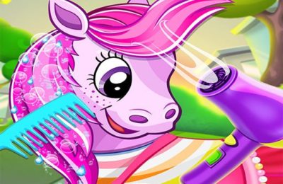 pet pony salon