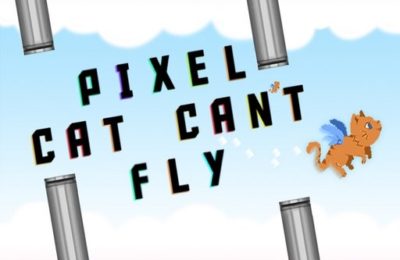 Pixel Cat Cant Fly