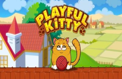 Playfull Kitty