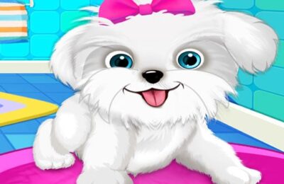 Puppy: Pet Salon & Dog Daycare