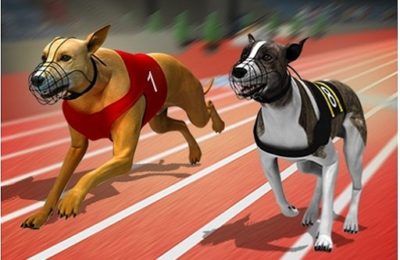 Racing Dog Simulator : Crazy Dog Racing Games