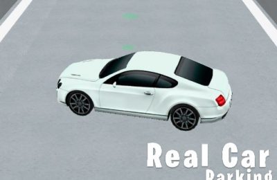 Real Car Parking 3D