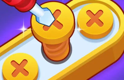 Screw Pin Jam Puzzle