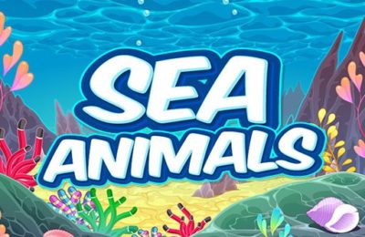 Sea Animals HD