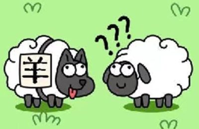 Sheep And Sheep