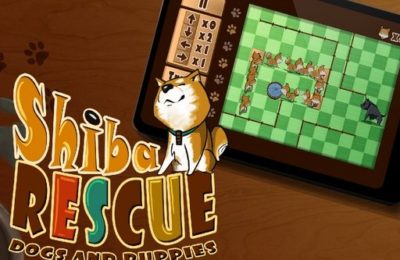 Shiba Rescue : Dogs and Puppies