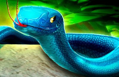 Snake Puzzle 3D