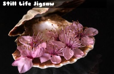 Still Life Jigsaw