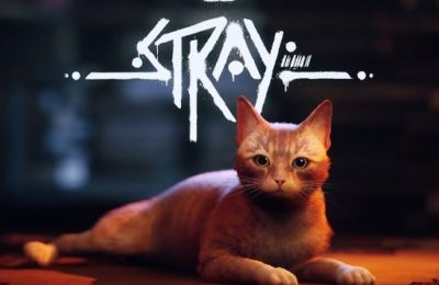 Stray