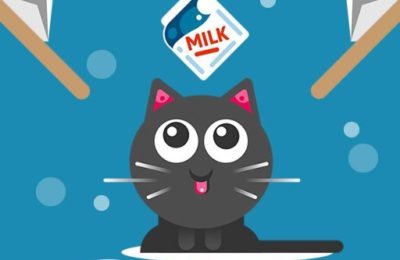 The Cat Drink Milk