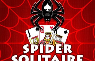 The Spider Solitaire