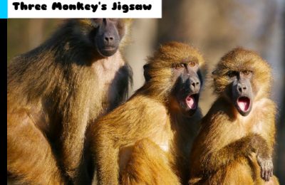 Three Monkey’s Jigsaw