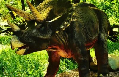 Triceratops Dinosaur Puzzle