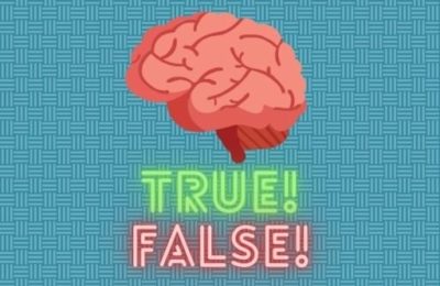 True or false quiz