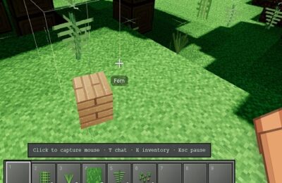 Voxel Frontier