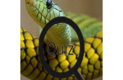 Wildlife Animal Trivia:Test Your Knowledge!