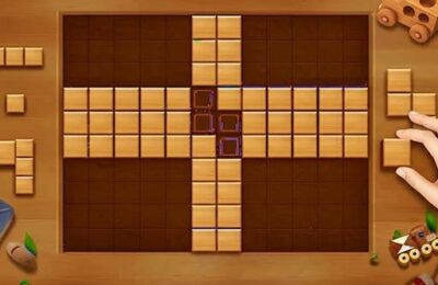 Wood Block Brain Puzzle