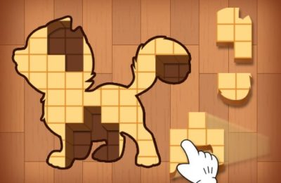 Wood Block Puzzles