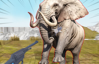 Zoo Anomaly Simulation