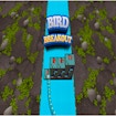 Bird Breakout
