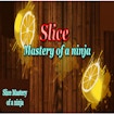 Slice Mastery of a Ninja